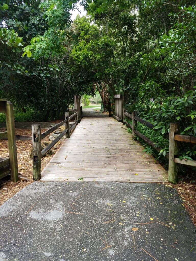 Nature walking trail with wooden bridge in lush green garden, perfect for homeschool outdoor activities.