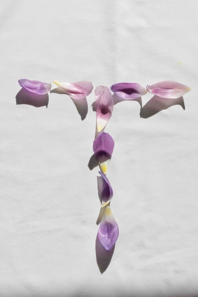Artistic arrangement of purple petals forming the letter T on a white cloth surface.