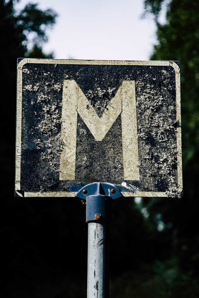Close-up of a weathered sign with an 'M' covered in moss, outdoors.