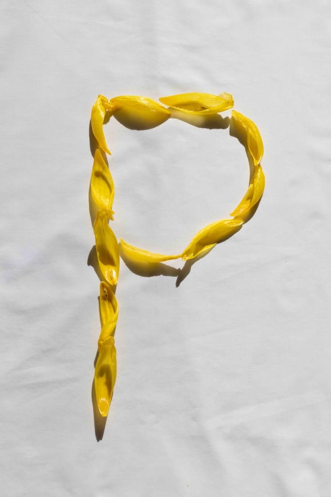 Creative arrangement of yellow petals forming the letter 'P' on a white surface in bright lighting.